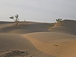 bei Jaisalmer