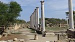 Salamis