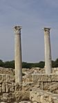 Salamis