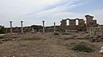 Salamis