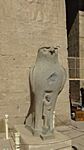 Edfu